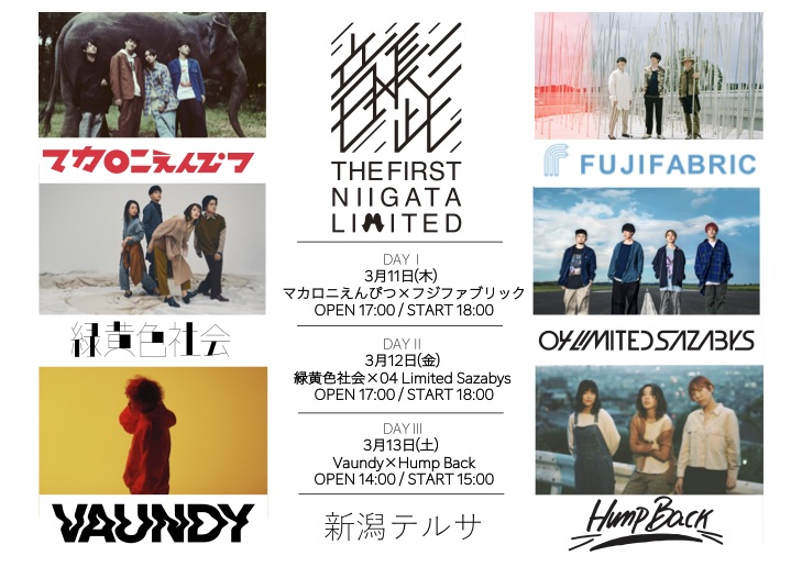 THE FIRST NIIGATA LIMITED